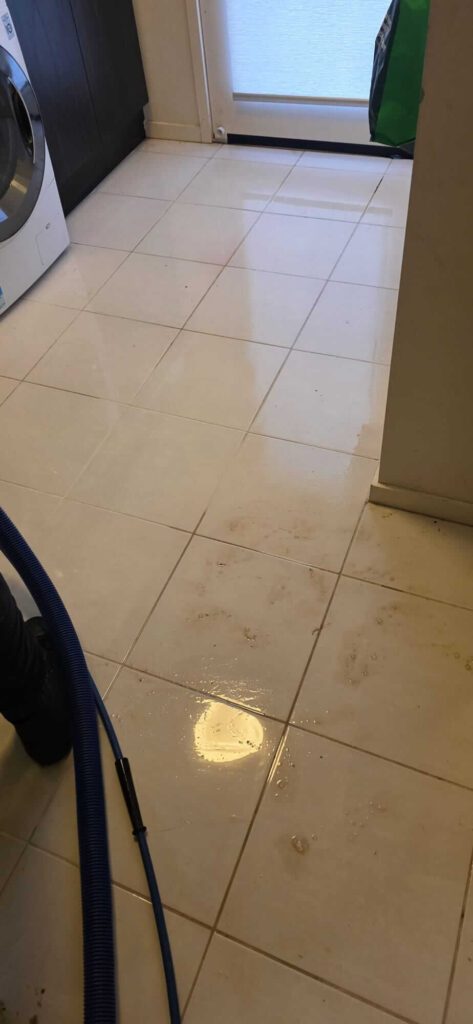 Kitchen Restoration