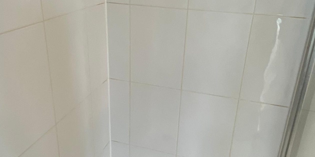 WhatsApp Image 2026-03-26 at 3.30.40 PM